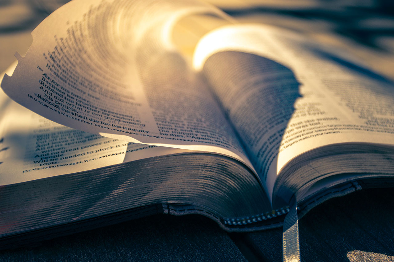 A closeup image of an open bible